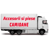 Camioane
