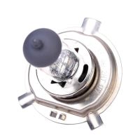 Bec auto cu halogen H4 RoGroup, 12V, 55W, P43T, 1 buc