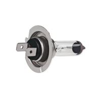 Bec auto cu halogen pentru far/proiector H7, 12V, 55W, PX26d, 1 buc